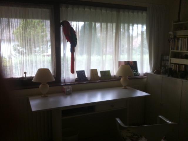 B&B Jagerslaan Wassenaar Pokój zdjęcie
